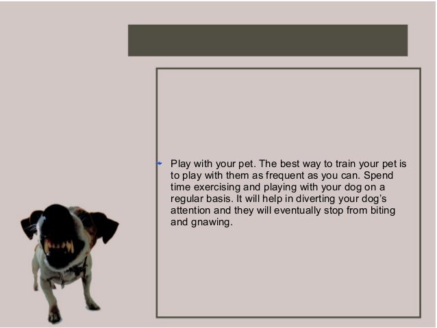 best way to stop puppy biting how to housebreak a puppy best way to stop puppy biting how to housebreak a puppy